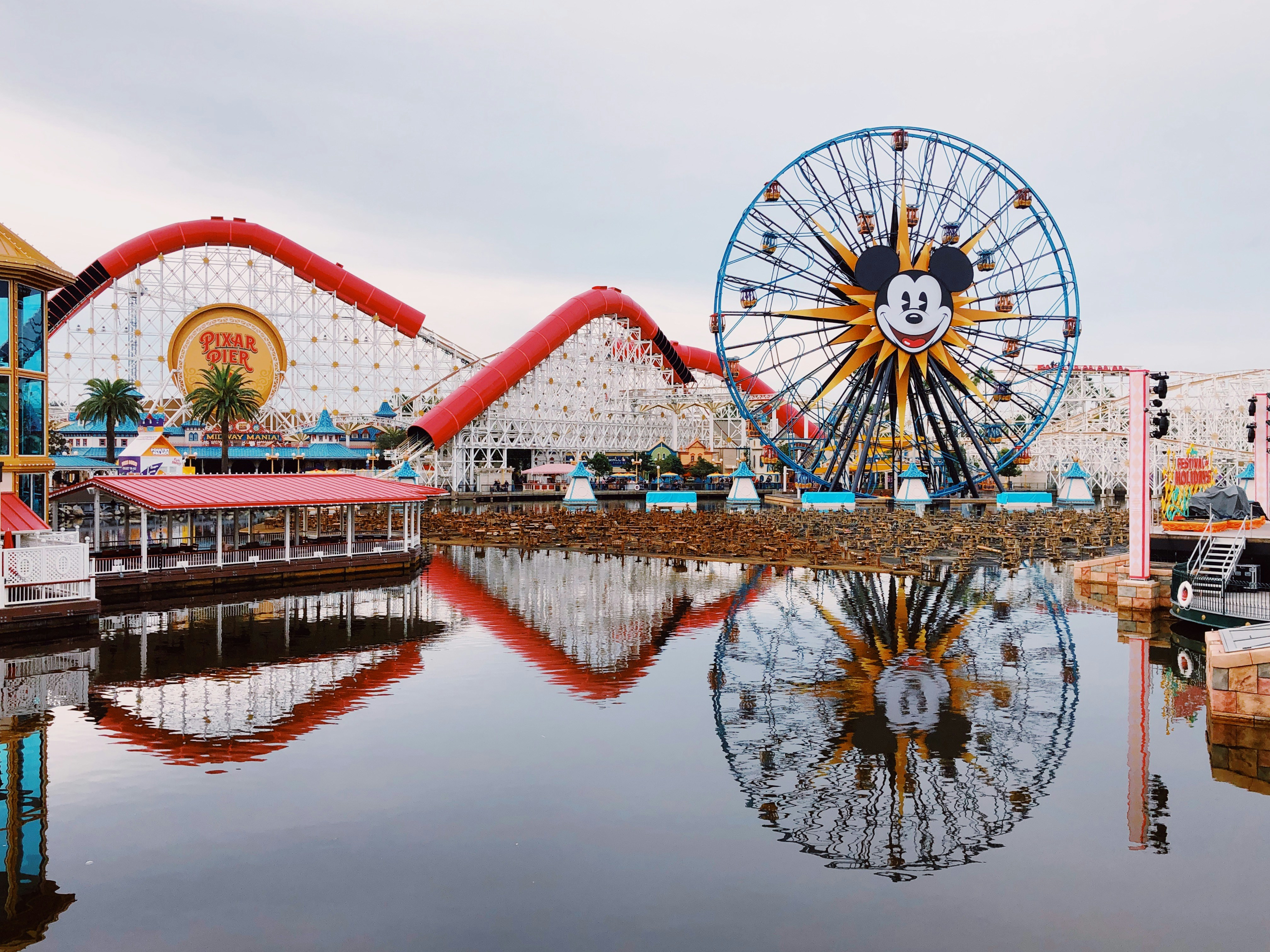 Disney World & Disneyland